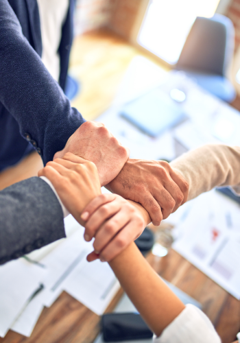 <strong>AFFIANCAMENTO TEAM DI PROFESSIONISTI</strong>